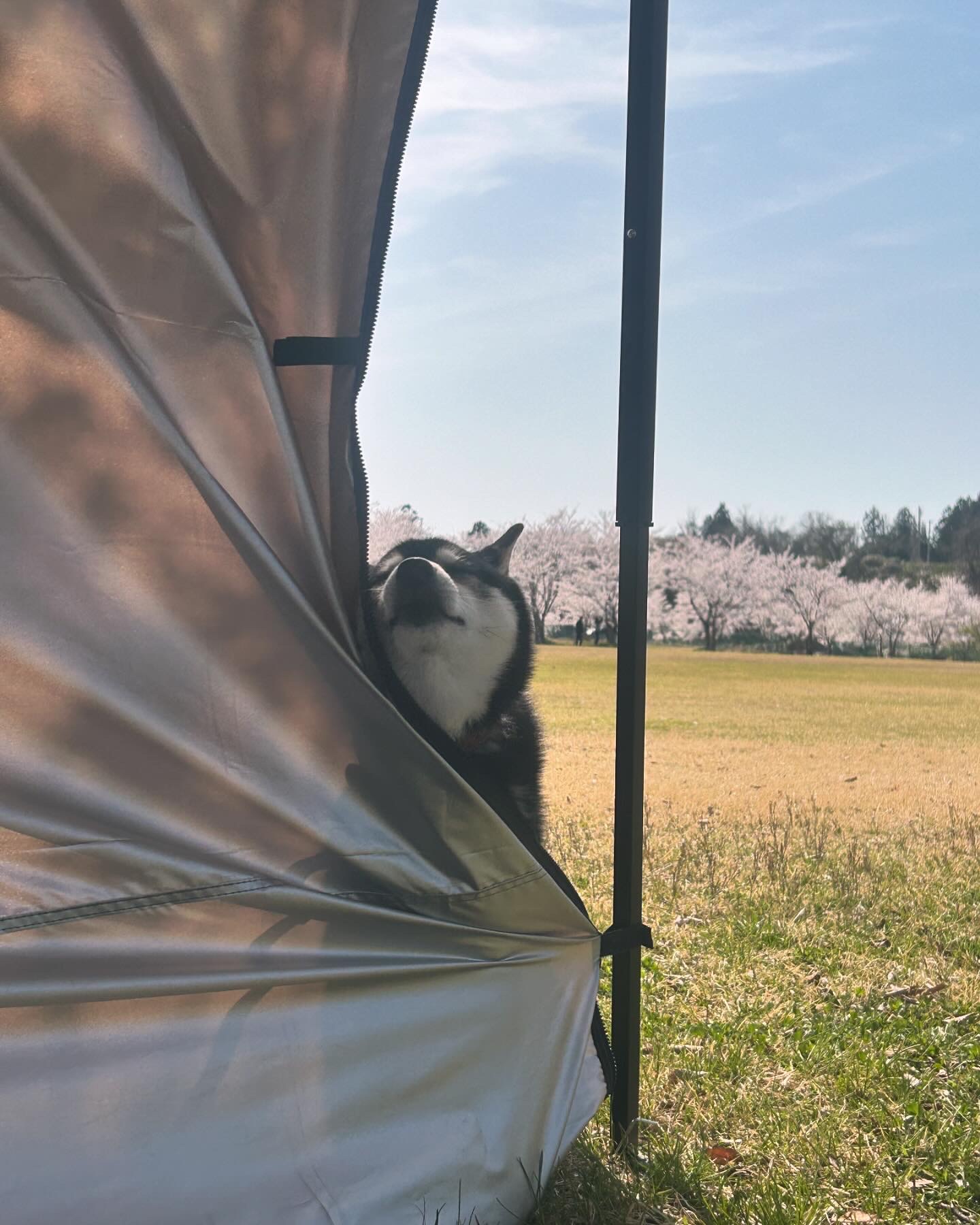 女子会呼ばれたんですけど