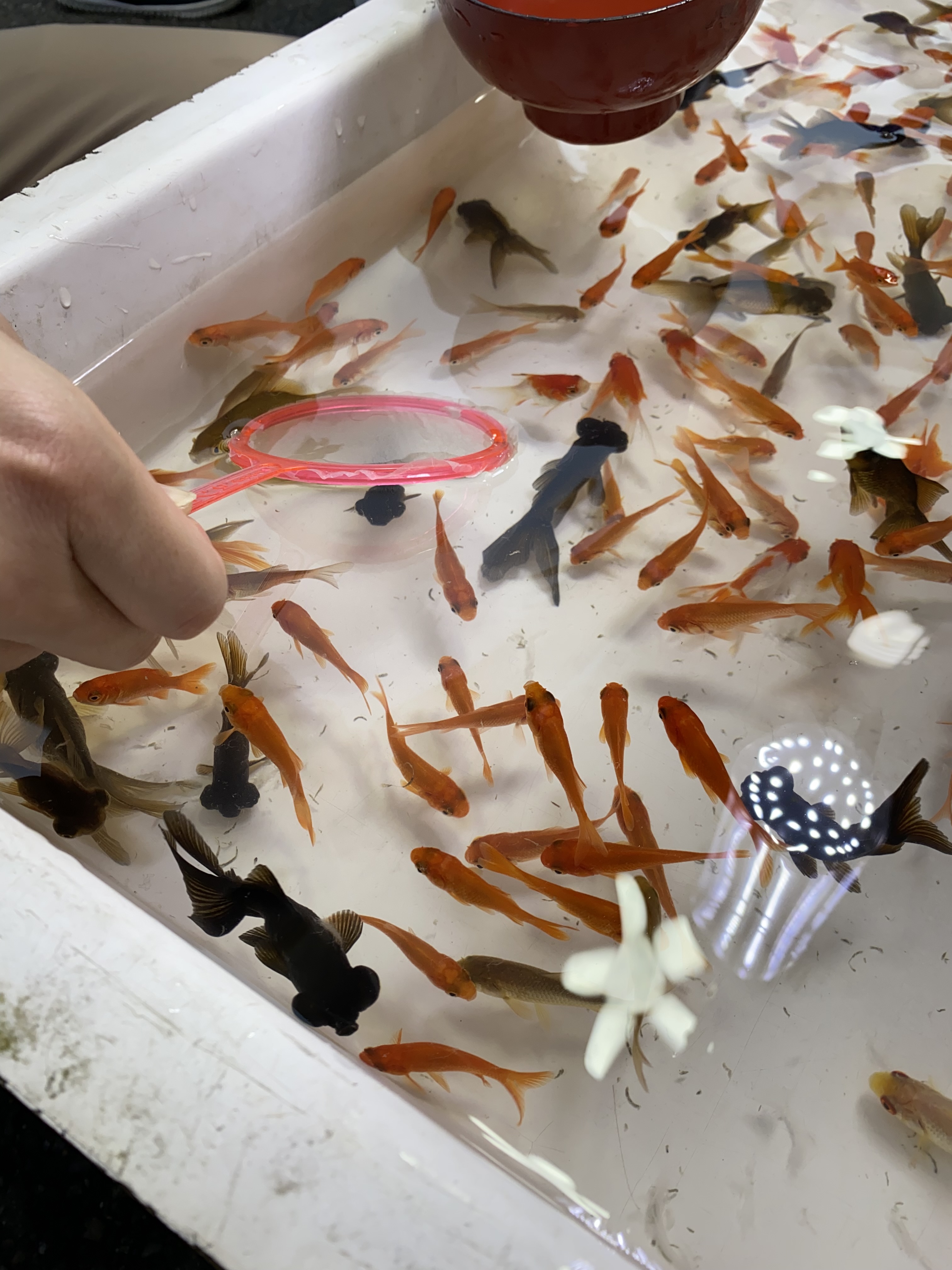 縁日のひとコマ