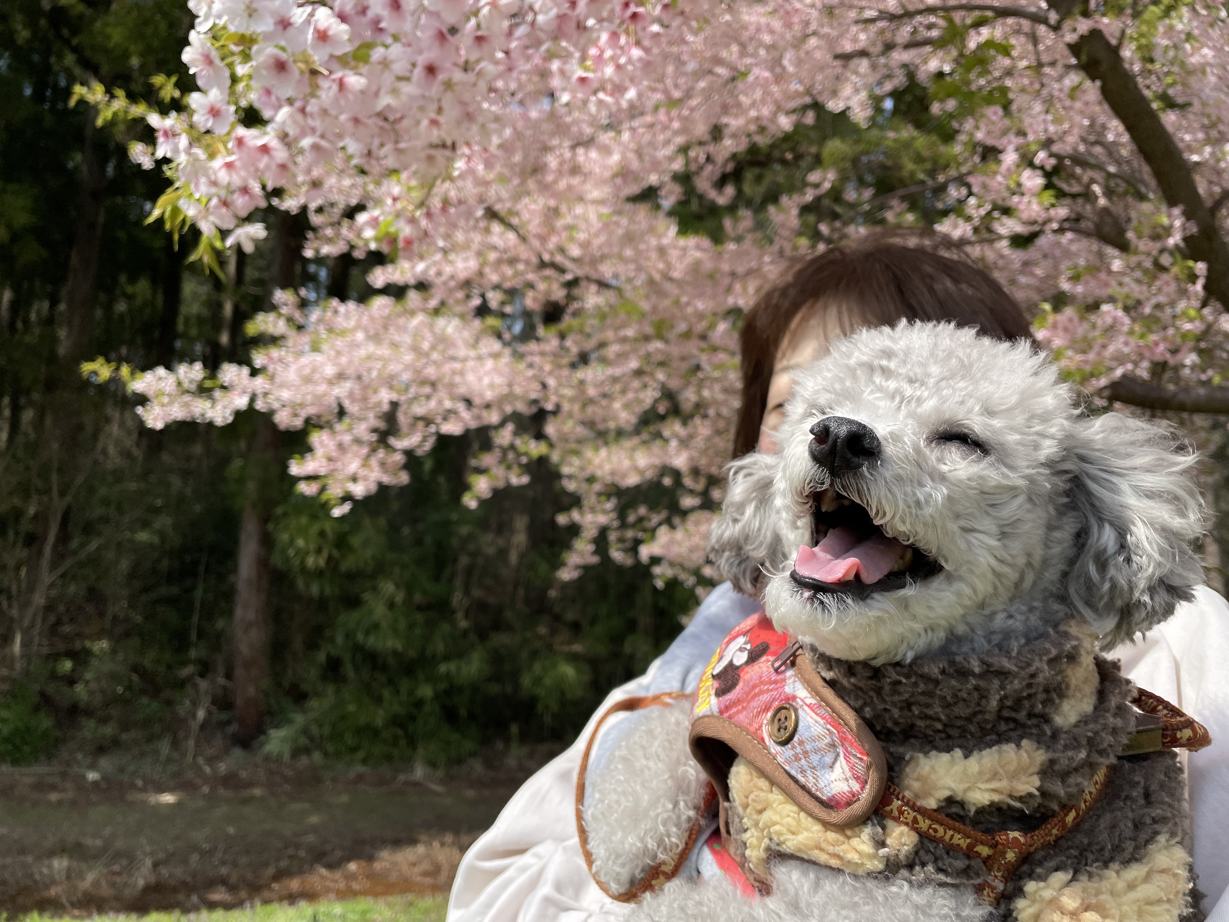 思い出いっぱい更新中②