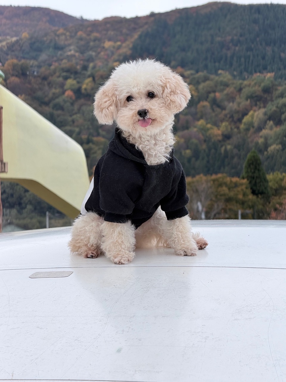 甘えん坊の眼差し③