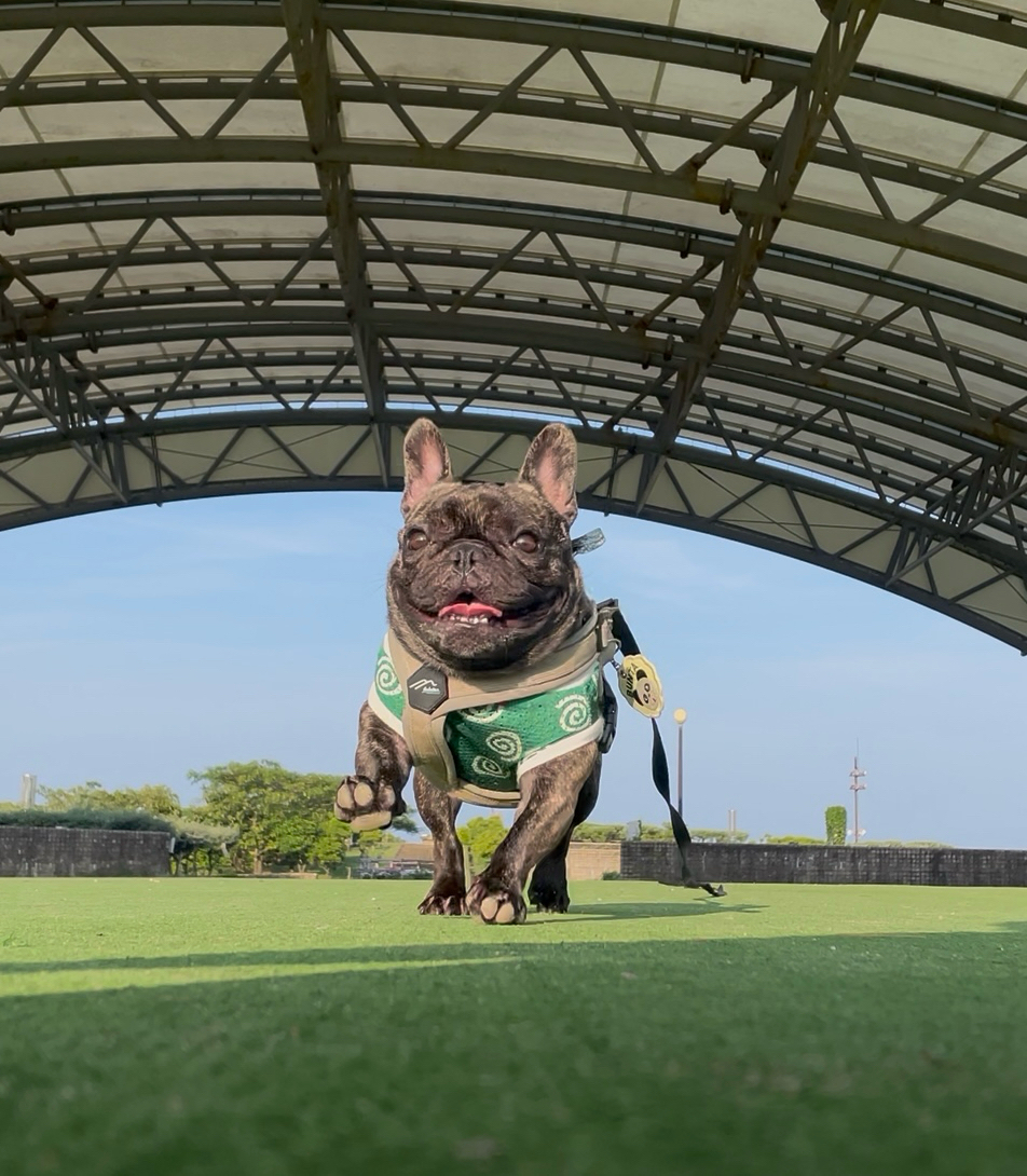 ごきげんぶんた2