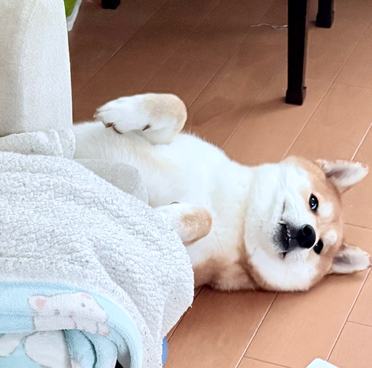 ママ撫でてくれ