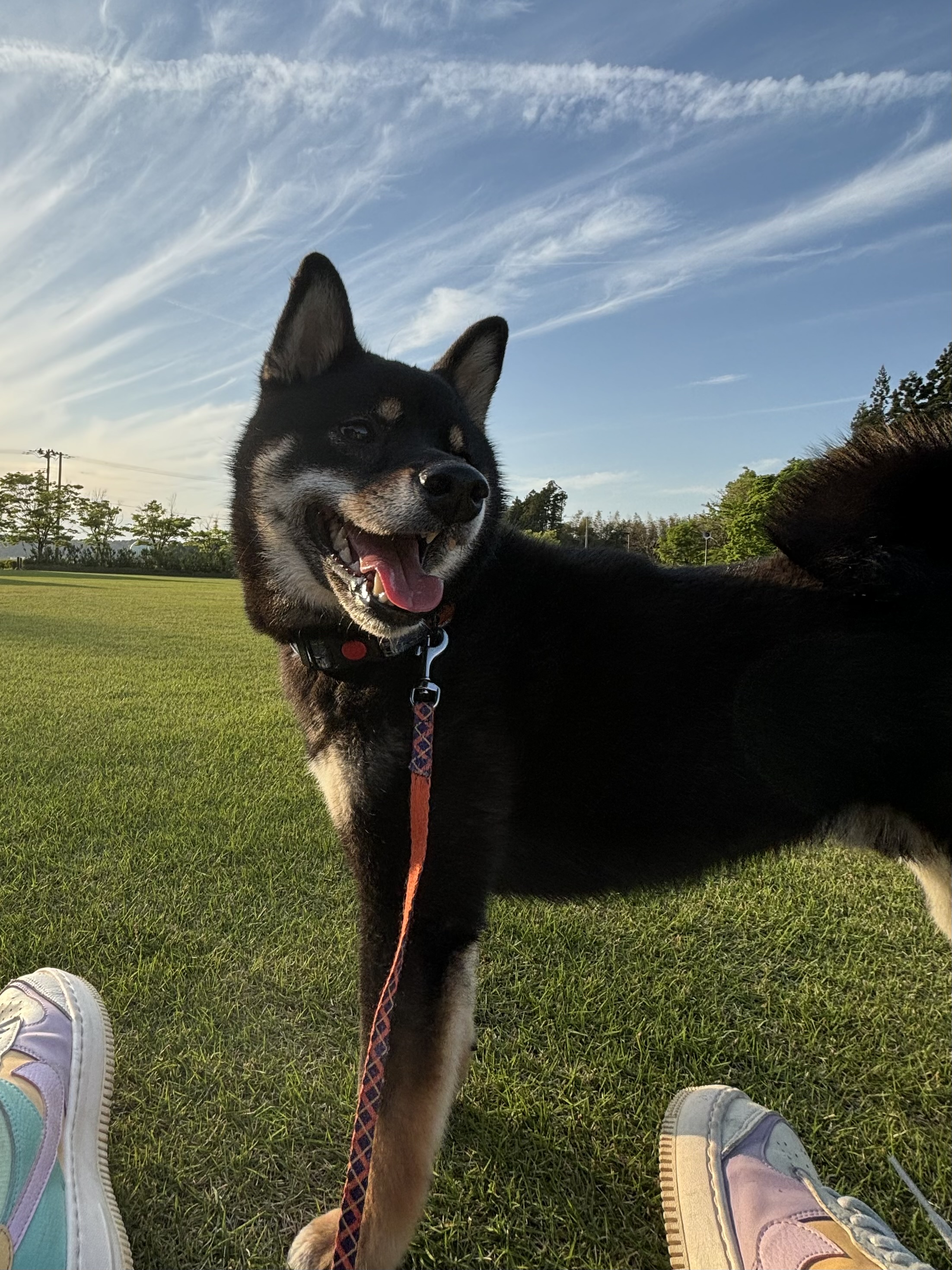 青い空の下で