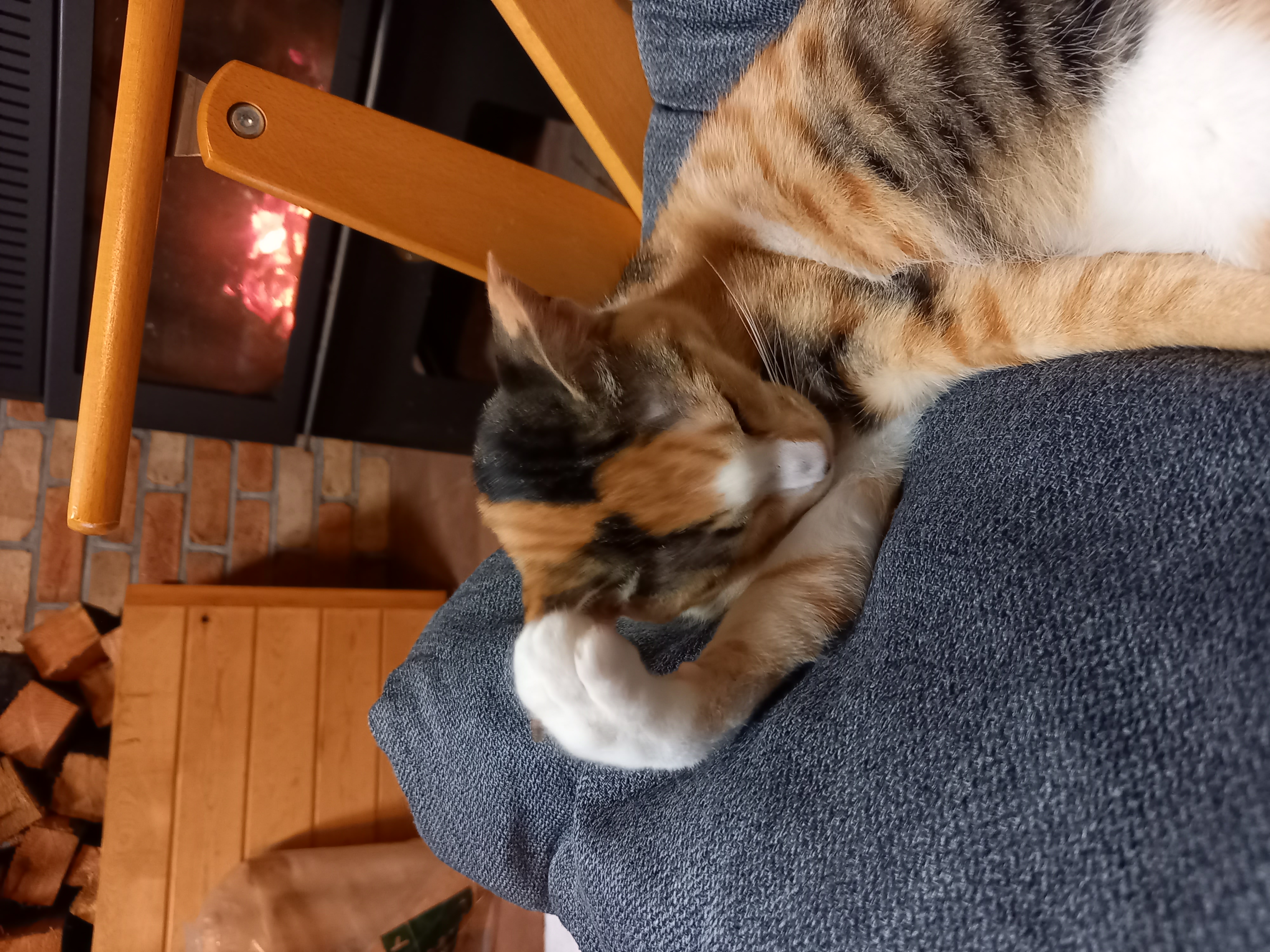 どーもすいません