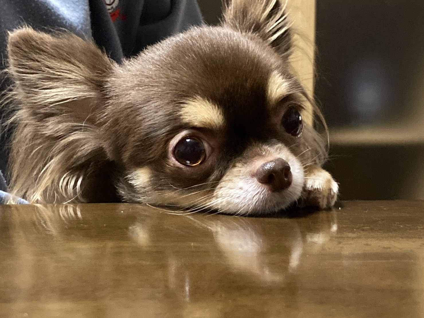 まーた写真～？？