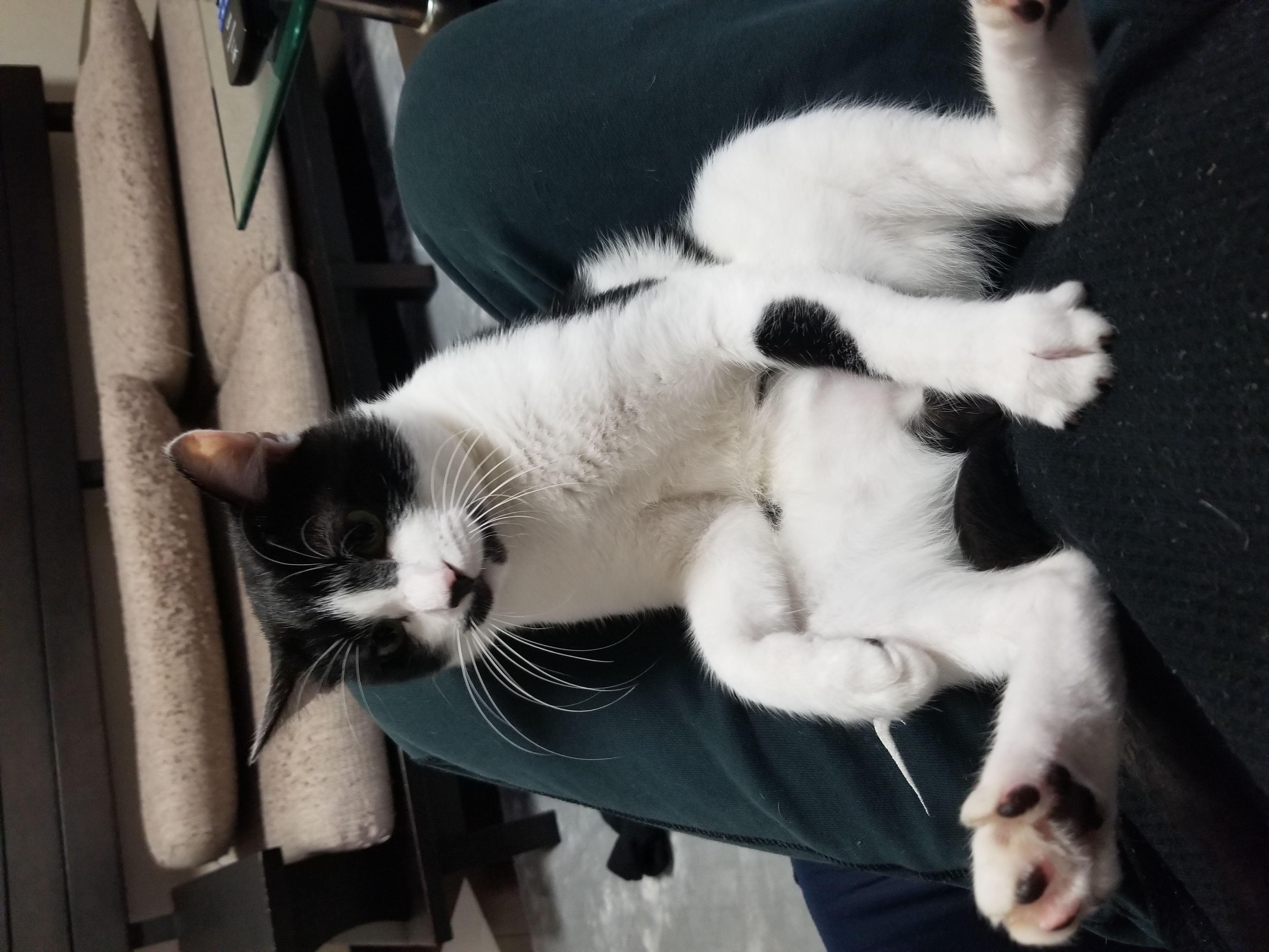 ホームセキュリティ